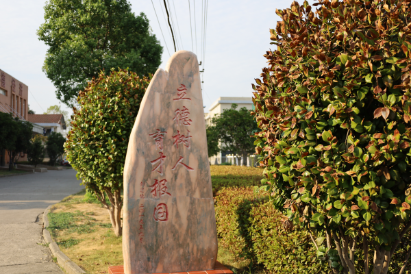 常德德才科技职业学校,常德招生就业,电子商务专业学校,专业学校报考哪里好